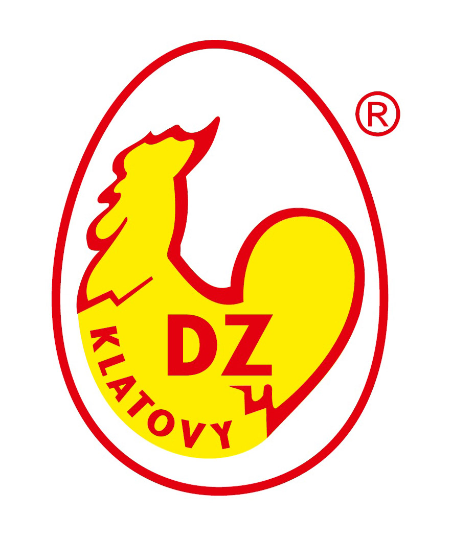 DZ Klatovy